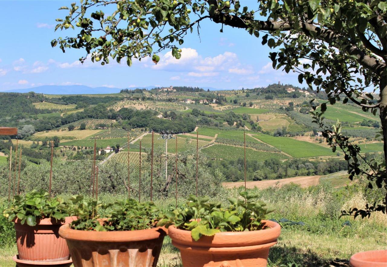 Casa Le Betulle Vendégház Montespertoli Kültér fotó
